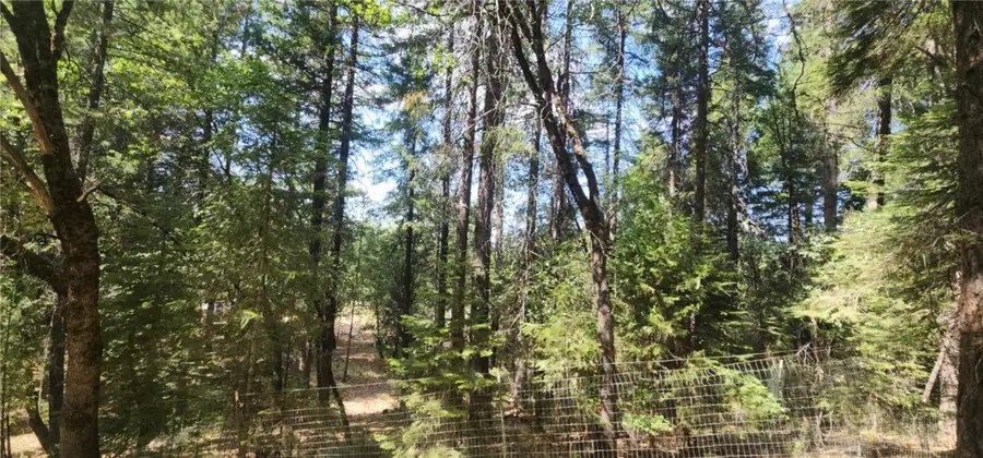 92 Dogwood Court, Quincy, CA 95971 - Image #3