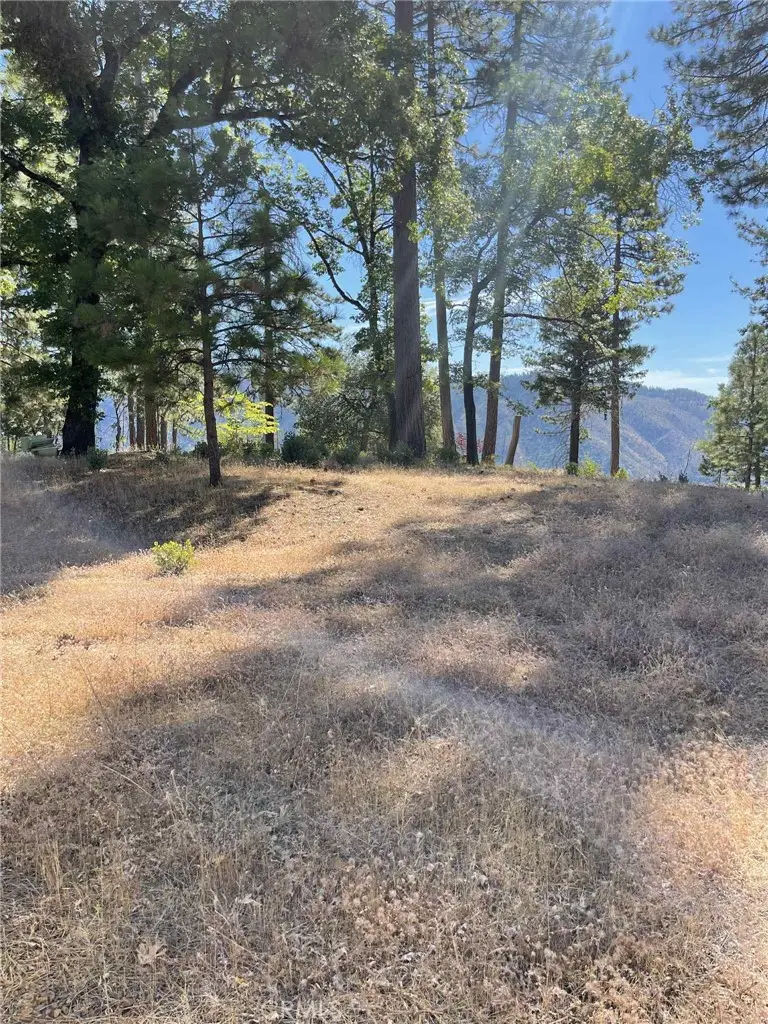 12269 Andy Mountain Road, Oroville, CA 95965 - #2