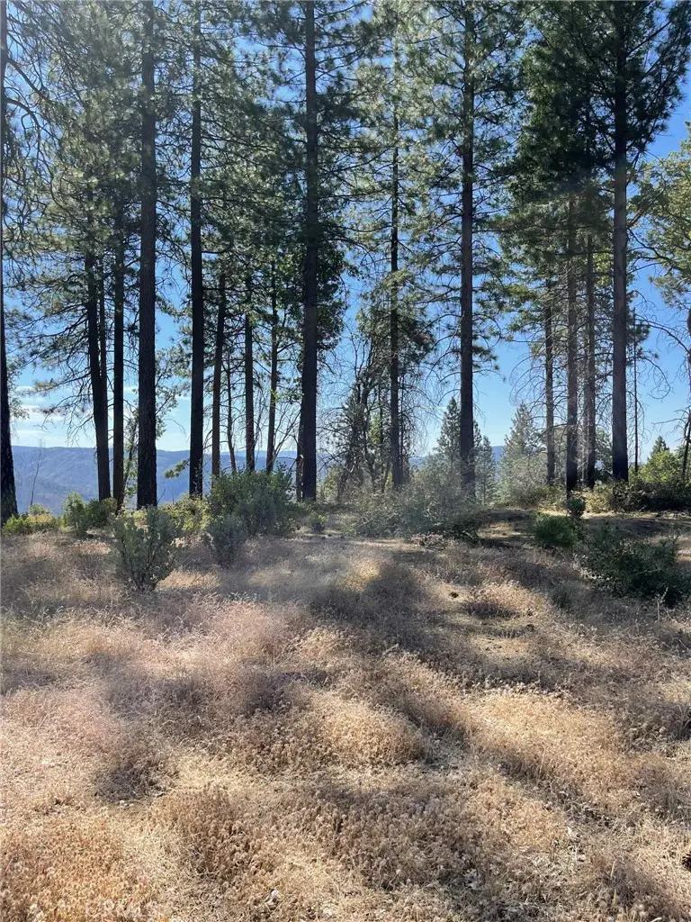 12269 Andy Mountain Road, Oroville, CA 95965 - #3