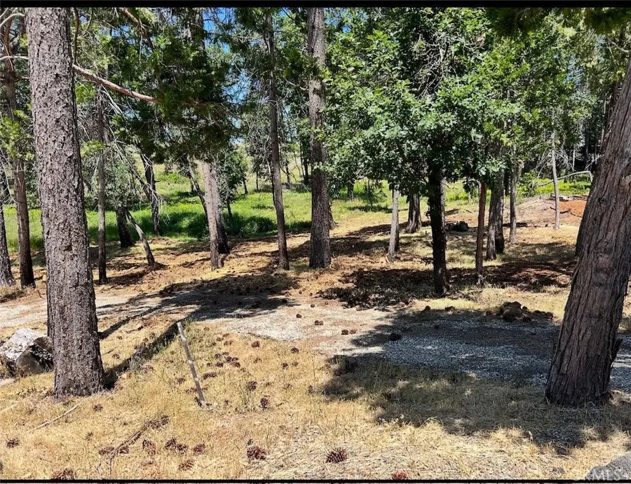 13917 Hobart Court, Magalia, CA 95954 - #3