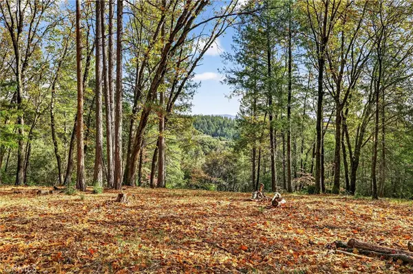 0 Burgundy Lane, Forest Ranch, CA 95942