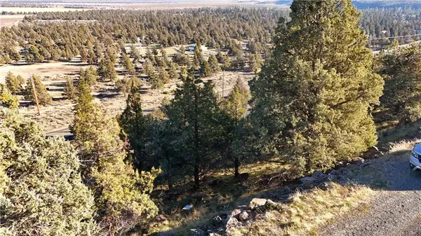 44 43 Dwinell Drive, Weed, CA 96094