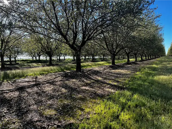 24186 Orangewood Road, Corning, CA 96021