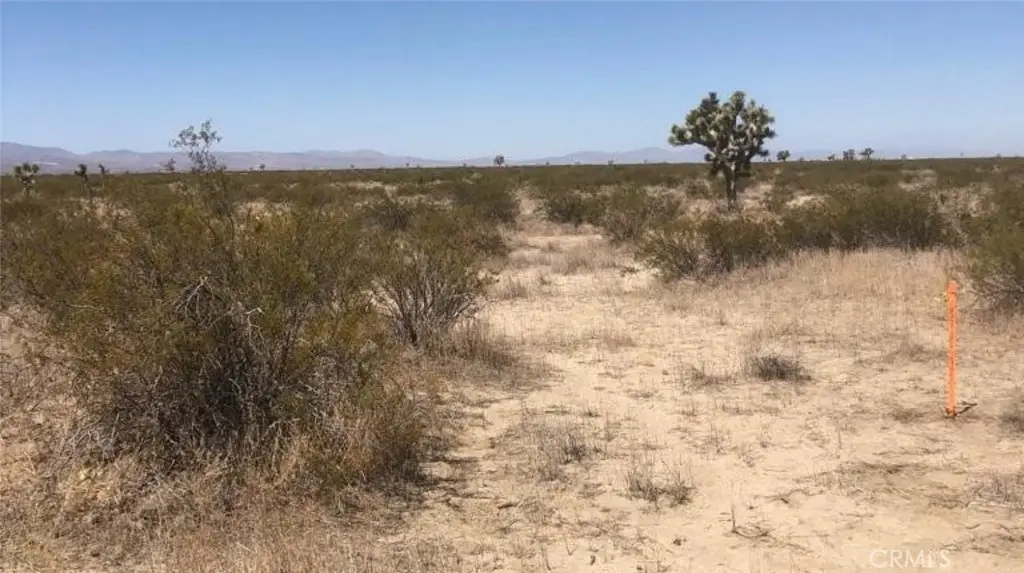 0 Vac/223 Ste/vic Avenue S12, Llano, CA 93591 - Image #1