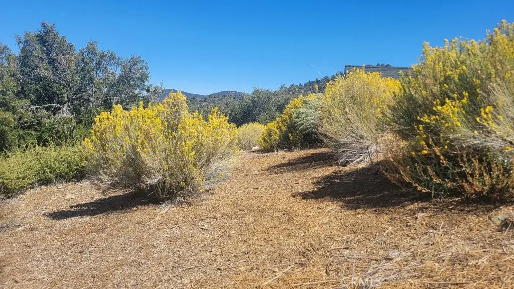 1806 Zermatt, Pine Mountain Club, CA 93222 - #1