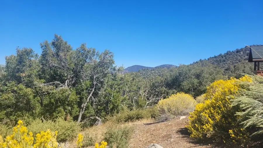 1806 Zermatt, Pine Mountain Club, CA 93222 - #2