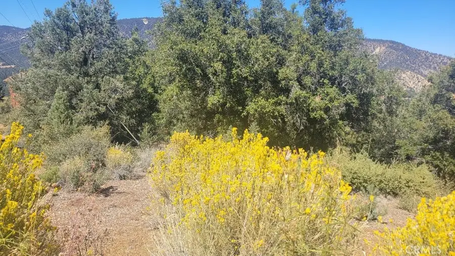 1806 Zermatt, Pine Mountain Club, CA 93222 - #3