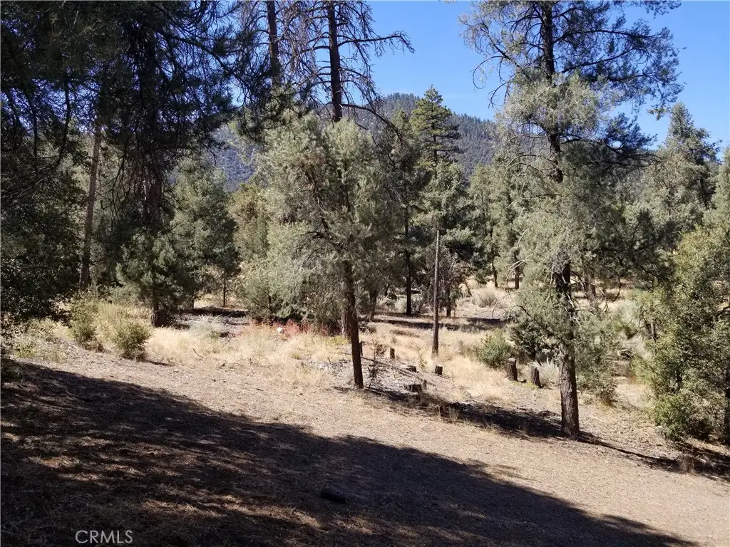 1912 Ironwood Drive, Pine Mountain Club, CA 93222 - #1
