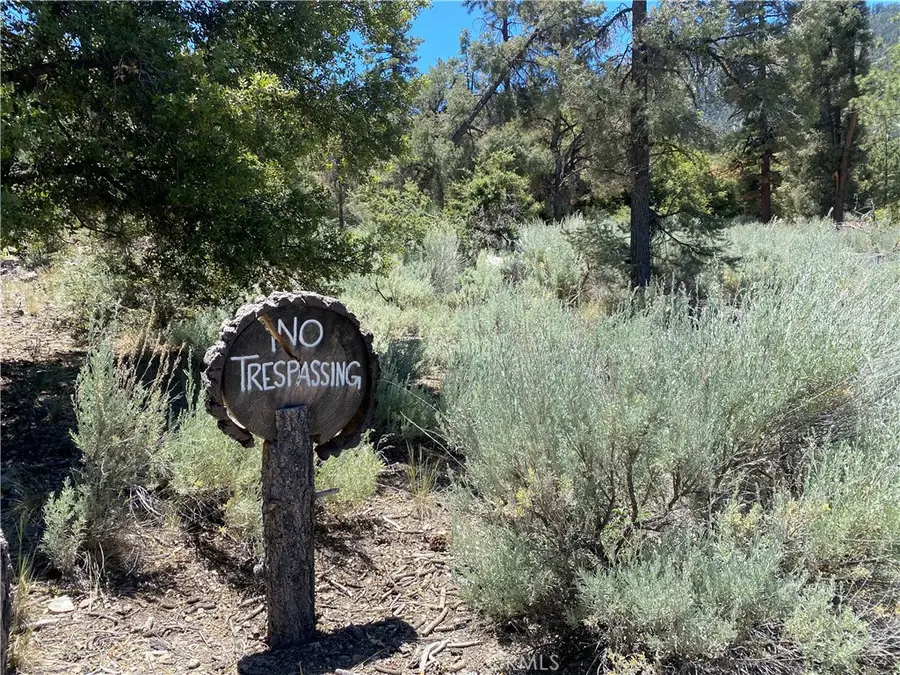 1912 Ironwood Drive, Pine Mountain Club, CA 93222 - #3