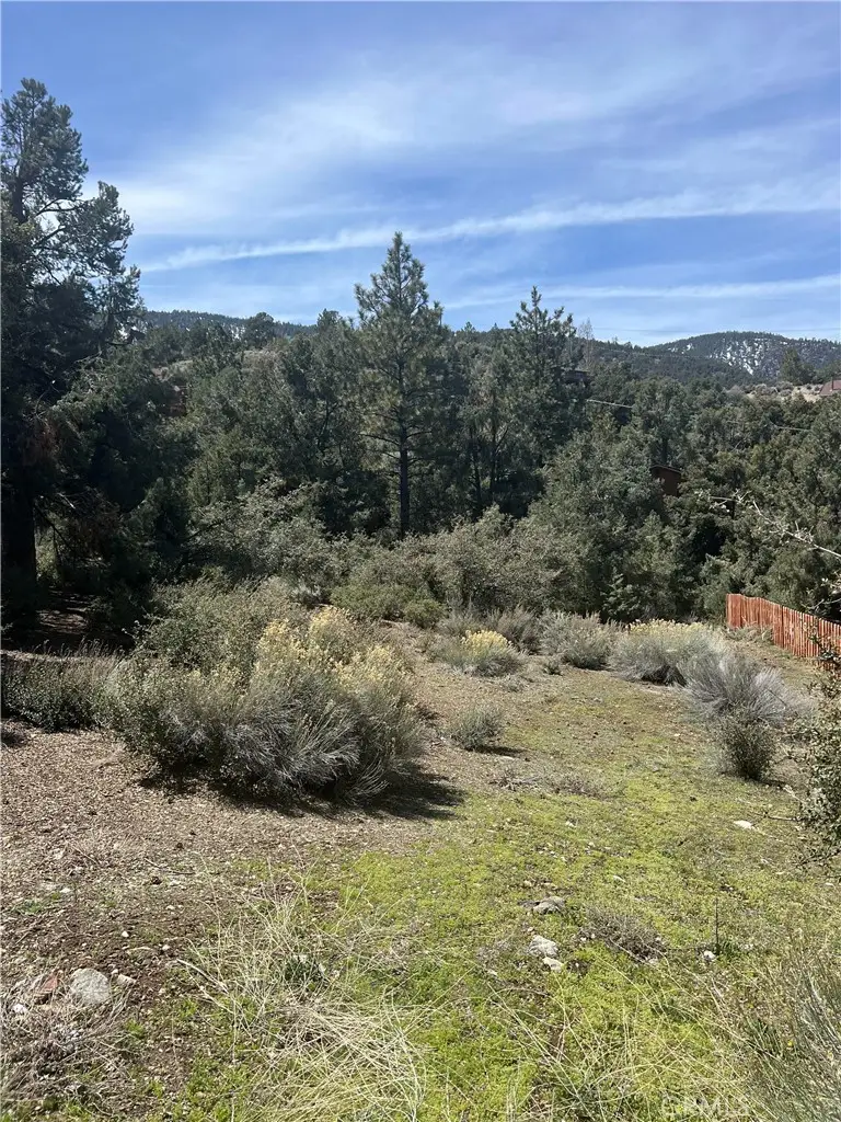 2029 Zermatt Drive, Pine Mountain Club, CA 93222 - #1