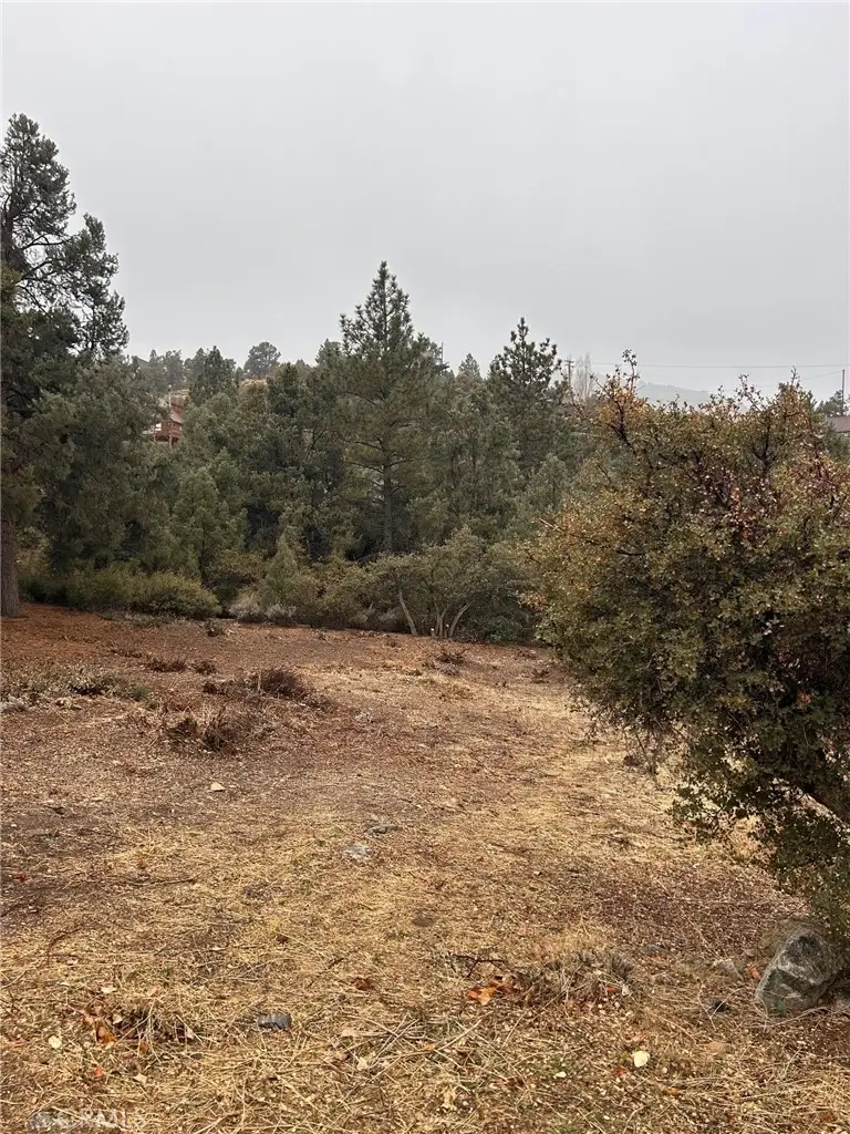 2029 Zermatt Drive, Pine Mountain Club, CA 93222 - #3