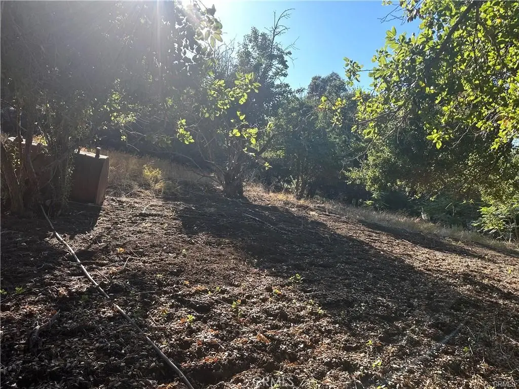 0 Paradise Lane, Topanga, CA 90290 - Image #1