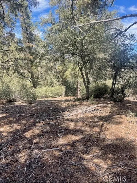 2426 Cedarwood, Pine Mountain Club, CA 93222 - #3