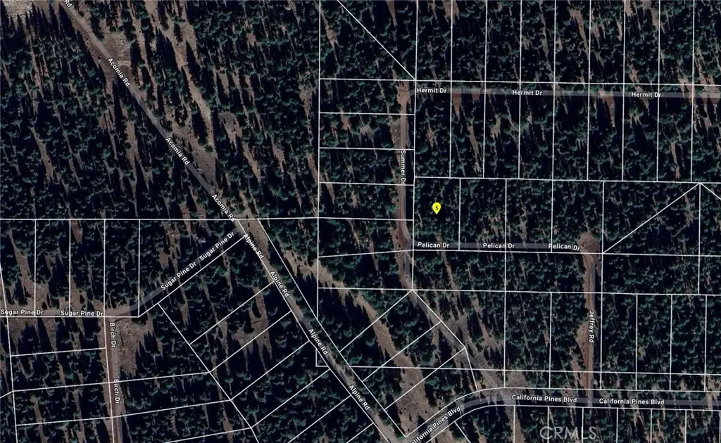 0 Pelican, Alturas, CA 96101 - #1