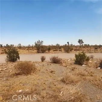 1590 Saratoga Road, Pinon Hills, CA 92372