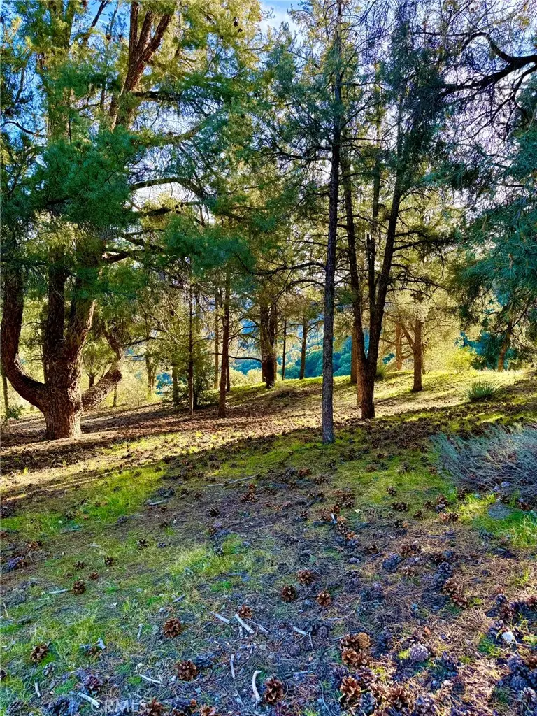 2604 Tirol, Pine Mountain Club, CA 93225 - #1