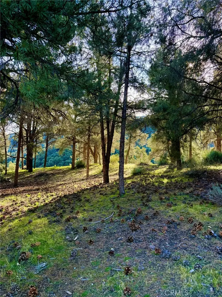 2604 Tirol, Pine Mountain Club, CA 93225 - #2