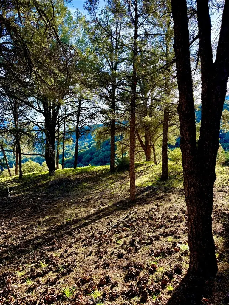 2604 Tirol, Pine Mountain Club, CA 93225 - #3