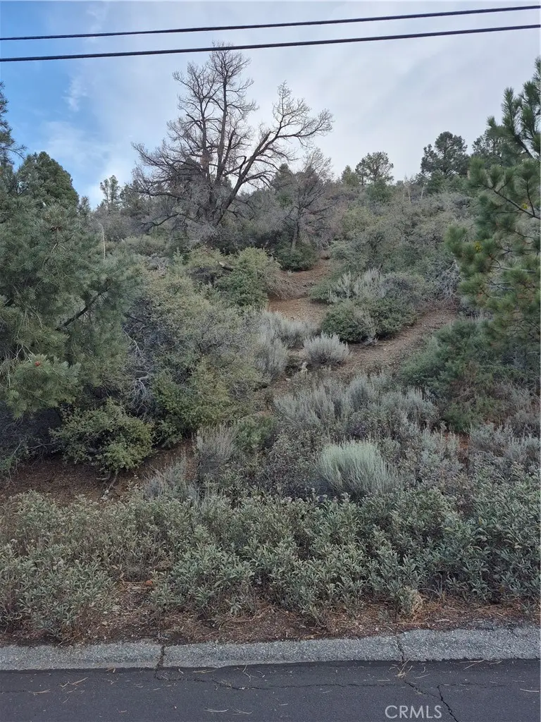 2016 Woodland Drive, Pine Mountain Club, CA 93222 - Image #2
