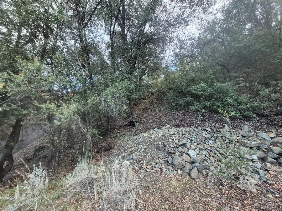 15532 San Moritz, Pine Mountain Club, CA 93222 - Image #3