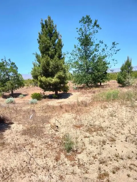 10376 55th Street W, Mojave, CA 93501 - Image #1