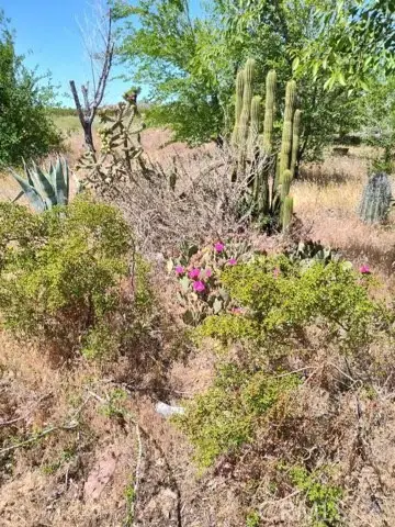 10376 55th Street W, Mojave, CA 93501 - Image #2