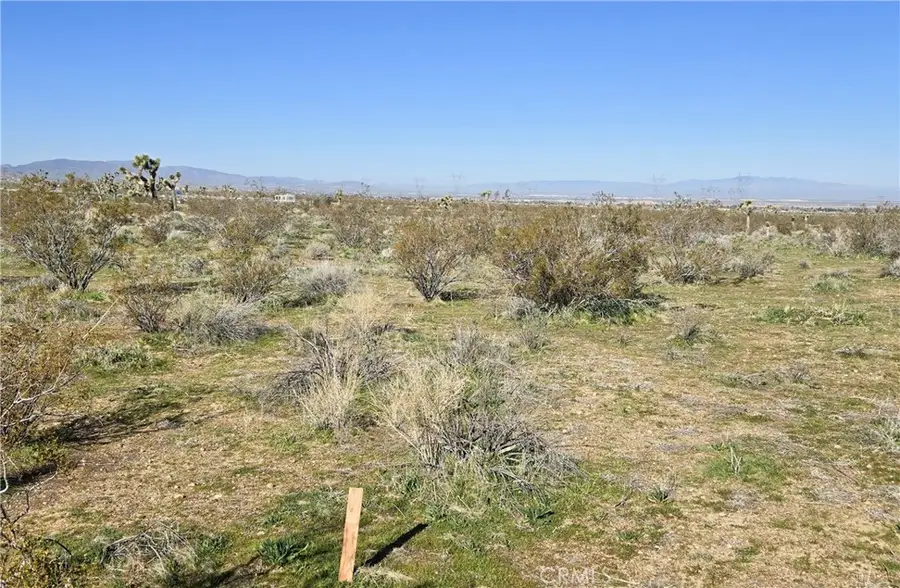 105 th E Ave V8 & 106th E, Pearblossom, CA 93553 - Image #3