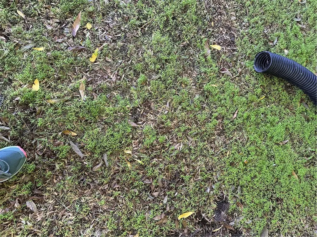 4327 Camello Road, Woodland Hills, CA 91364 - Image #1