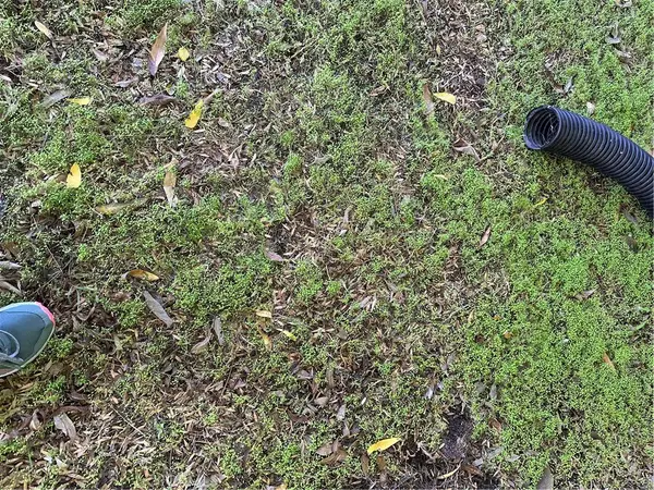 4327 Camello Road, Woodland Hills, CA 91364