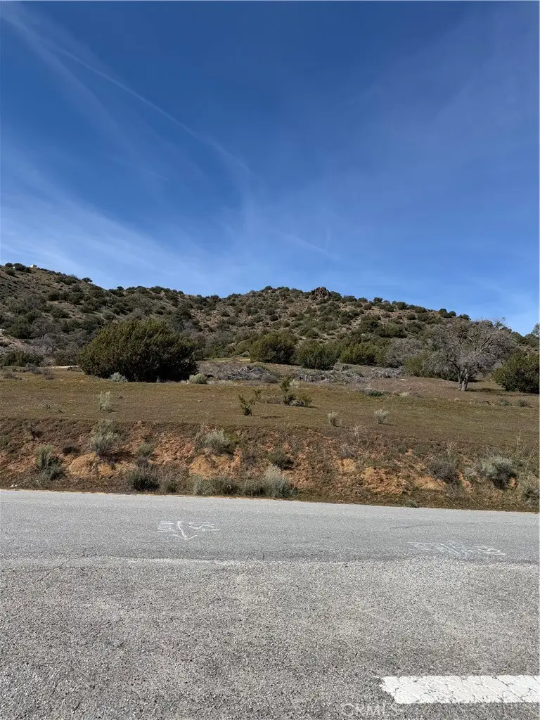 0 Sand Canyon, Caliente, CA 93518 - #3