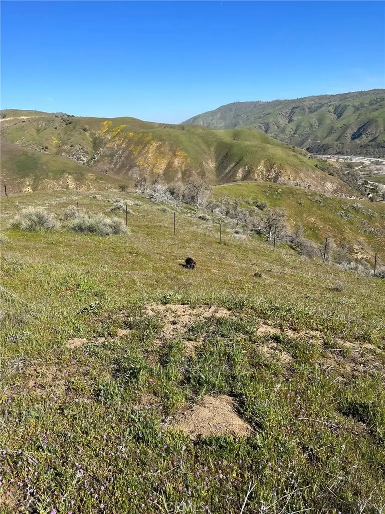 0 Lebec Road, Lebec, CA 93243 - #3