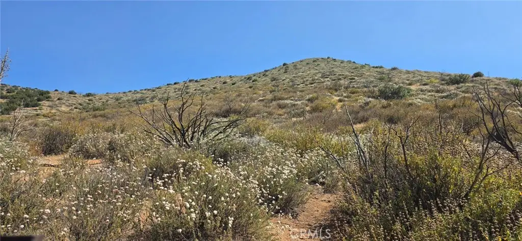 0 Madison, Agua Dulce, CA 91350 - #1