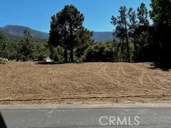 2045 Woodland Drive, Pine Mountain Club, CA 93222