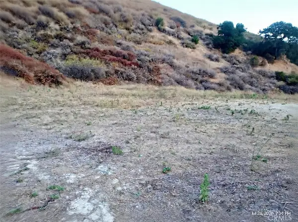 0 Pinedale Place, Val Verde, CA 91384