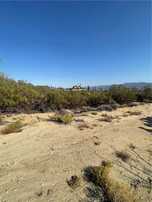 61700 Indian Paint Brush Road, Anza, CA 92539