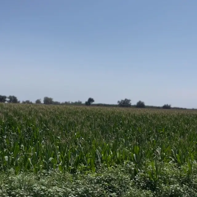 12837 Douglas Avenue, Hanford, CA 93230 - Image #2