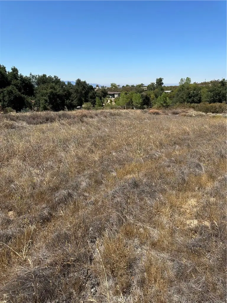 45775 Red Mountain Road, Hemet, CA 92544 - Image #2