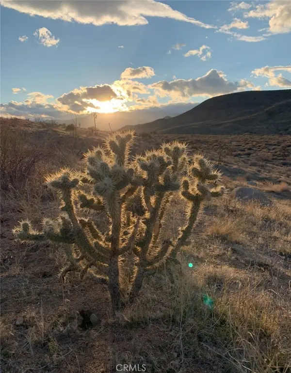 0 E Drive, Pioneertown, CA 92268