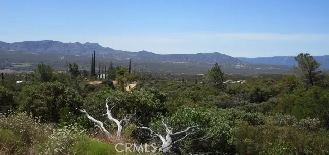 38111 Manzanita Mountain Lane, Anza, CA 92539 - Image #3