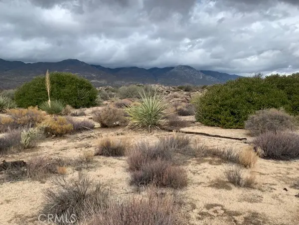 241 Paradiso Road, Mountain Center, CA 92561