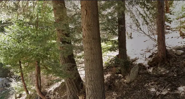 0 Wellsley, Lake Arrowhead, CA 92352