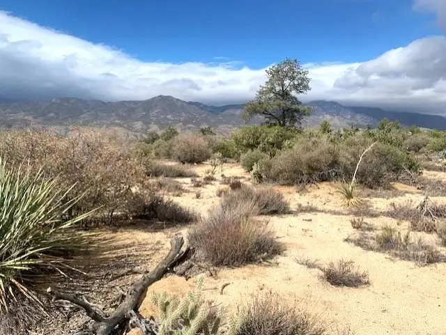 368 Palm Canyon Drive, Mountain Center, CA 92561 - #1