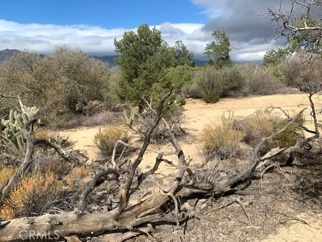 368 Palm Canyon Drive, Mountain Center, CA 92561 - #2