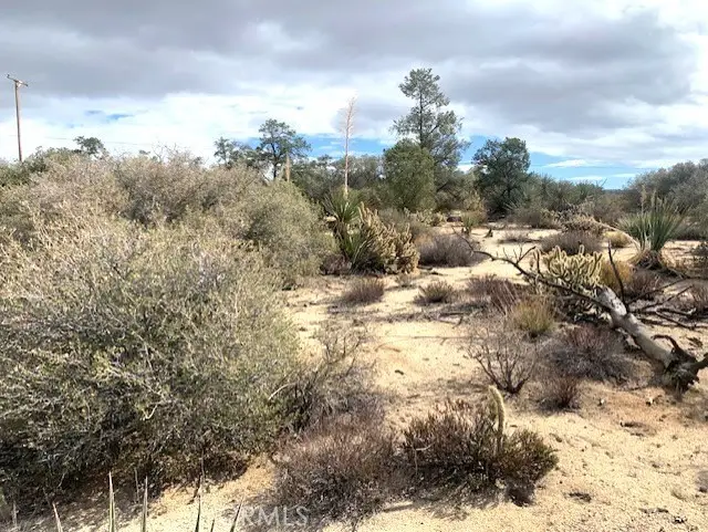 368 Palm Canyon Drive, Mountain Center, CA 92561 - #3