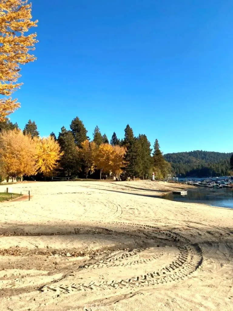 27657 Peninsula Drive #106, Lake Arrowhead, CA 92352 - #3