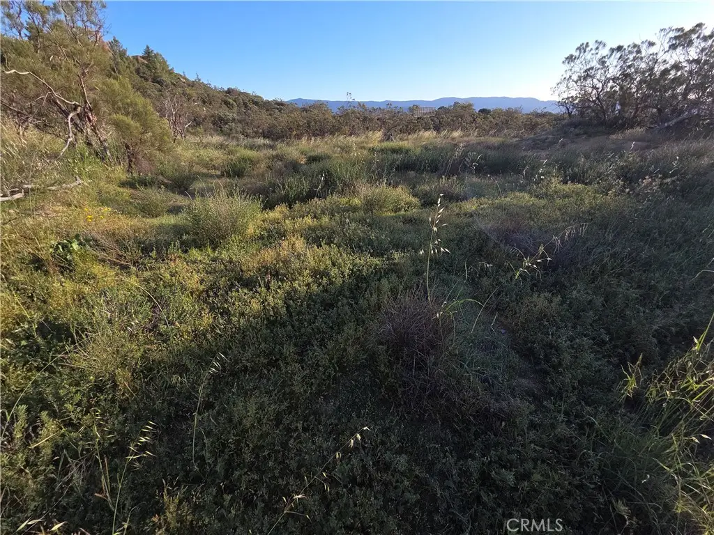 1007 Roan Way, Aguanga, CA 92536 - #1