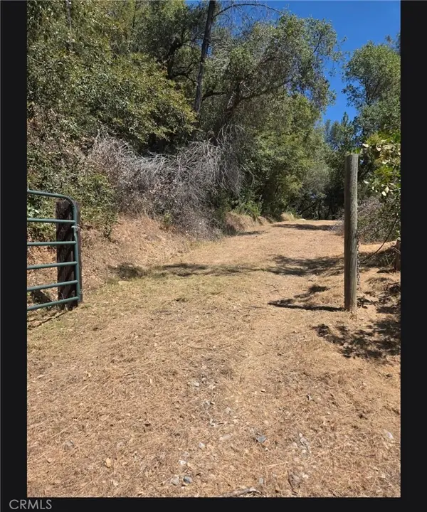 1371 Moccasin Trail, Placerville, CA 95667