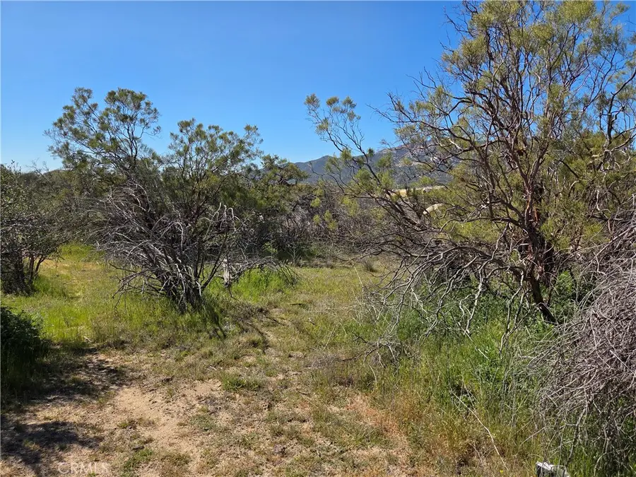 0 Pony Trail, Anza, CA 92539 - #3