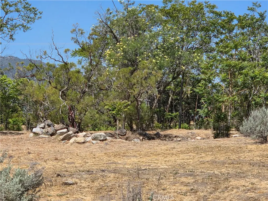 37230 Bautista Canyon, Anza, CA 92539 - #1