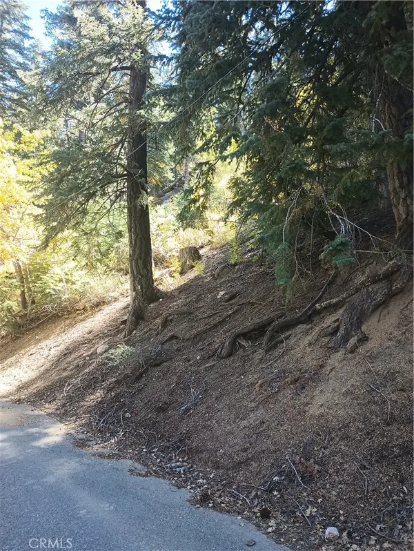0 Cherry, Big Bear Lake, CA 92315